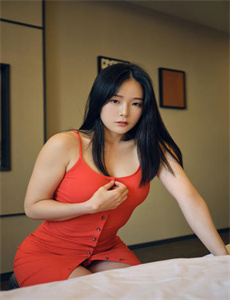 《顽固分子》