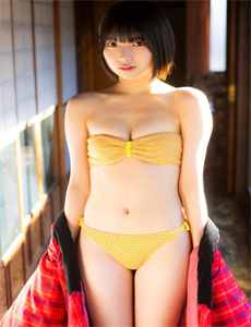 《日本农药》